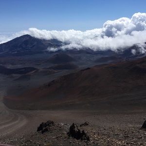 Meet your Posher, Jaelyn